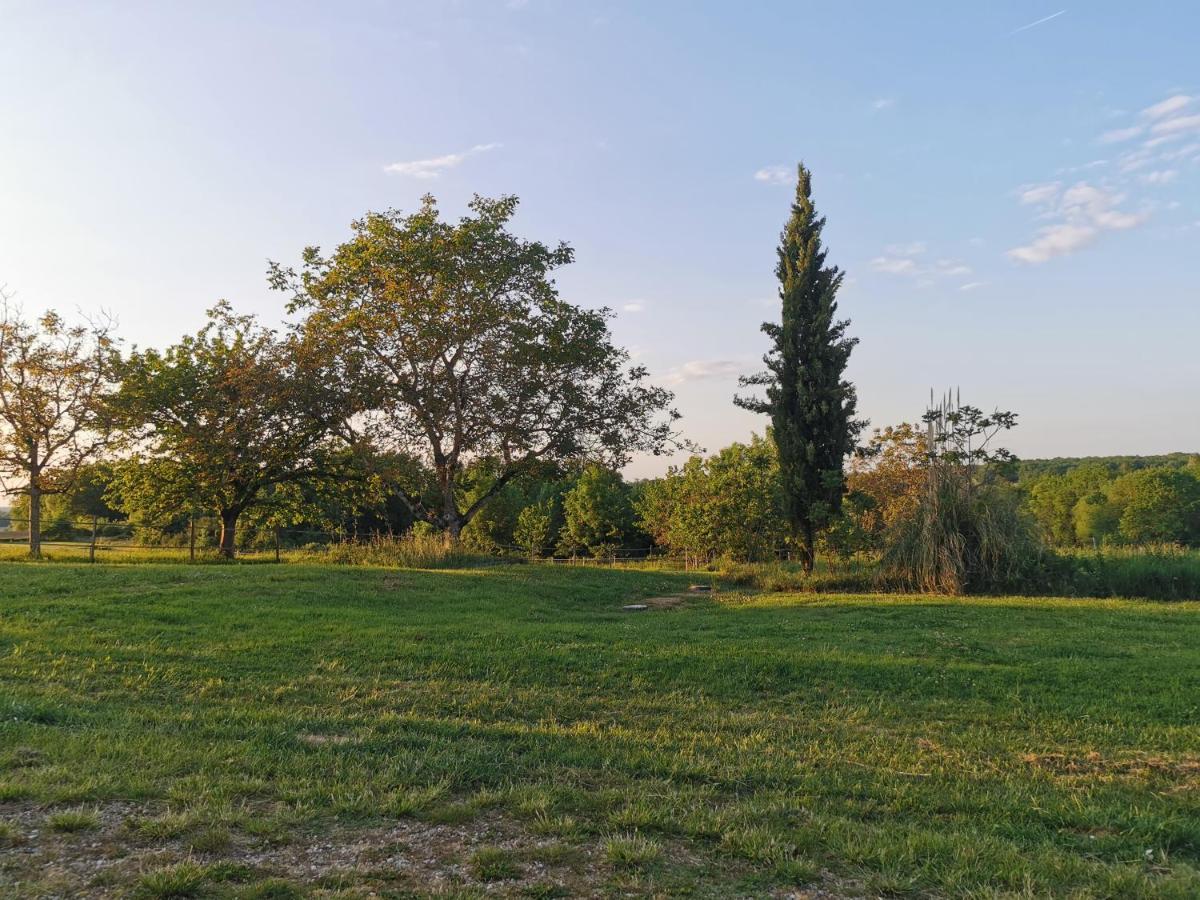 Les De La Nouvelle Vie Holiday home Agnac